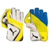 Puma EvoSpeed2 keeper gloves